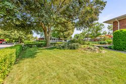 Backyard at 18 Verlaine Place, Bendale, Toronto