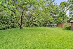 Backyard at 34 Addison Crescent, Banbury-Don Mills, Toronto