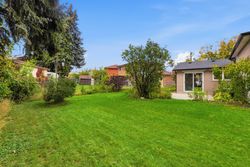 Backyard at 50 Killamarsh Drive, York University Heights, Toronto