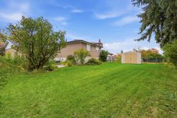 Backyard at 50 Killamarsh Drive, York University Heights, Toronto