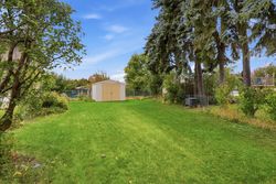 Backyard at 50 Killamarsh Drive, York University Heights, Toronto