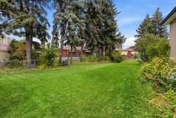 Backyard at 50 Killamarsh Drive, York University Heights, Toronto