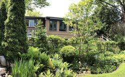 Backyard from Neighbours Yard at 10 Hills Terrace, Banbury-Don Mills, Toronto