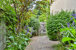 Backyard at 131 Barber Greene Road, Banbury-Don Mills, Toronto