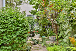 Backyard at 131 Barber Greene Road, Banbury-Don Mills, Toronto