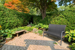 Backyard at 25 Greengrove Crescent, Parkwoods-Donalda, Toronto