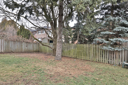 Backyard at 161 Banff Road, Bridle Path-Sunnybrook-York Mills, Toronto