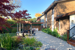 Backyard at 6 Barnwood Court, Parkwoods-Donalda, Toronto