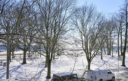 View from Balcony at 6 - 7 Balsam Avenue, The Beaches, Toronto