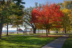 The Beaches at 6 - 7 Balsam Avenue, The Beaches, Toronto