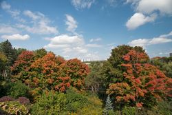 Backyard at 8 Swiftdale Place, Banbury-Don Mills, Toronto