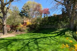 Backyard at 17 Olsen Drive, Parkwoods-Donalda, Toronto