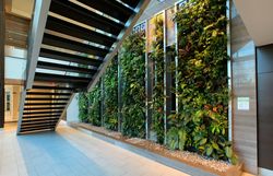 Live Wall at 124 - 35 Brian Peck Crescent, Leaside, Toronto