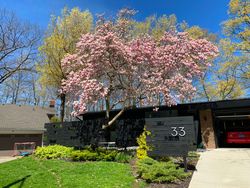 Front at 33 Sagebrush Lane, Parkwoods-Donalda, Toronto