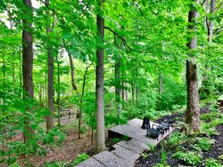 Backyard at 33 Sagebrush Lane, Parkwoods-Donalda, Toronto