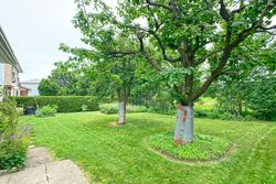 Backyard at 9 Deerpath Road, Parkwoods-Donalda, Toronto