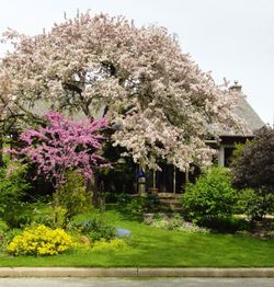 Front at 63 Hemford Crescent, Banbury-Don Mills, Toronto