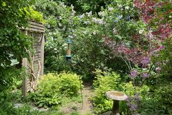 Backyard at 82 Cottonwood Drive, Banbury-Don Mills, Toronto