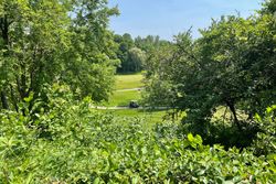 Backyard at 104 Three Valleys Drive, Parkwoods-Donalda, Toronto