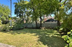 Backyard at 17 Macnaughton Road, Leaside, Toronto