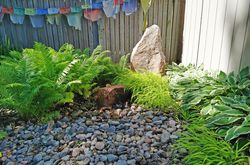Backyard at 114 Fairlawn Avenue, Lawrence Park North, Toronto