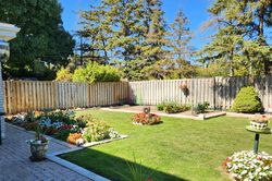 Backyard at 40 Monarchwood Crescent, Parkwoods-Donalda, Toronto
