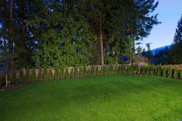 19558 at 677 Crystal Court, North Vancouver