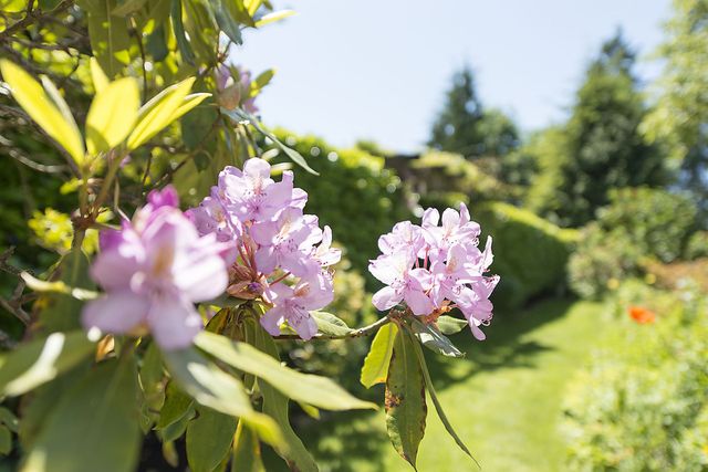 28426 at 1765 Ottawa Avenue, West Vancouver