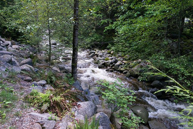 26068 at 4448 Skyline Drive, North Vancouver