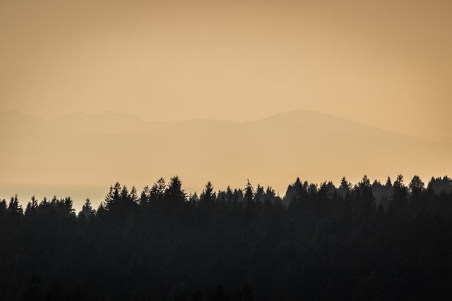 46165 at 679 Blueridge Avenue, North Vancouver