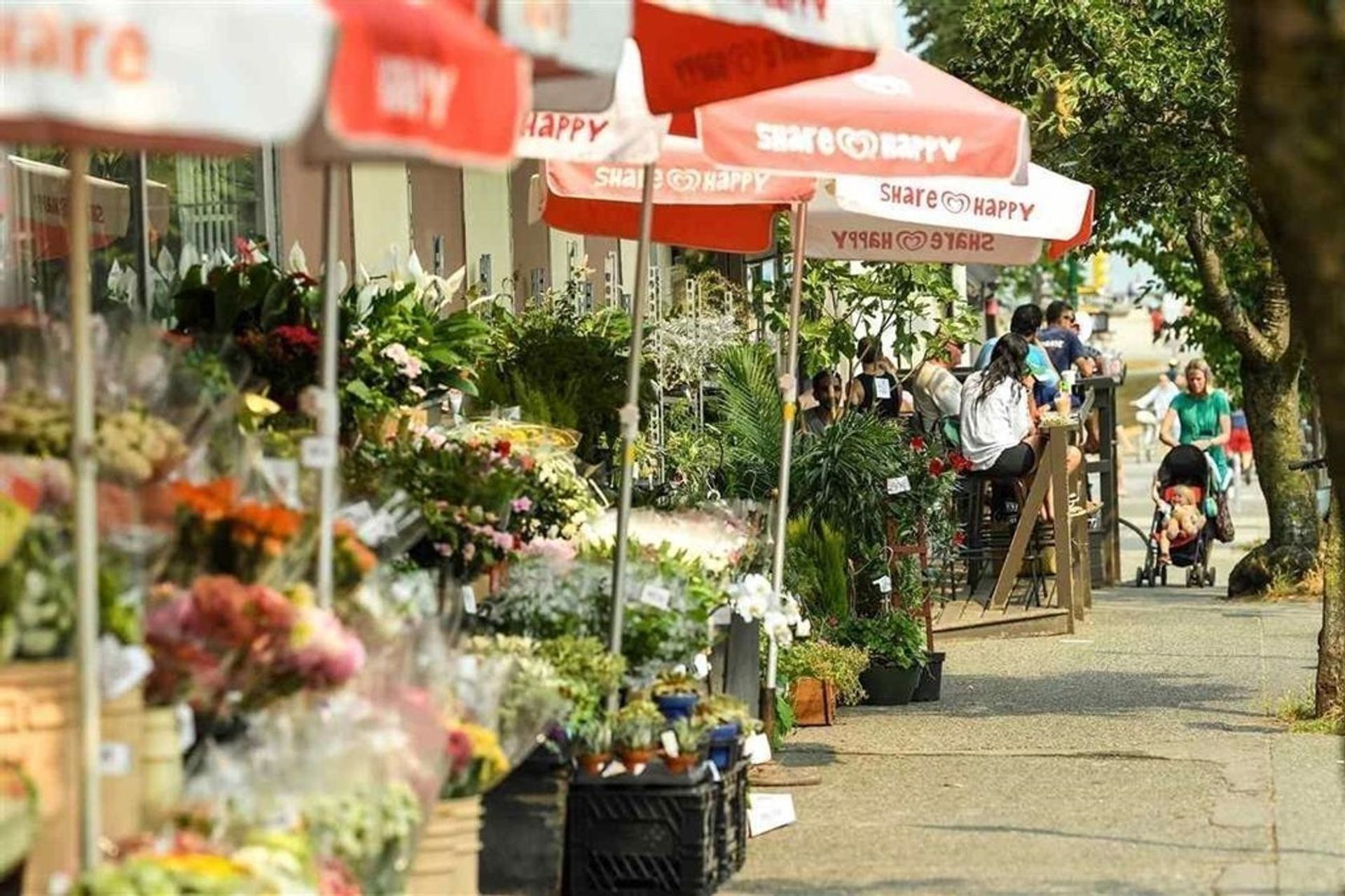 104 - 1858 W 5th Avenue, Kitsilano, Vancouver West - 1858-w-5th-avenue-kitsilano-vancouver-west-29 104 - 1858 W 5th Avenue, Kitsilano, Vancouver West - 1858-w-5th-avenue-kitsilano-vancouver-west-29