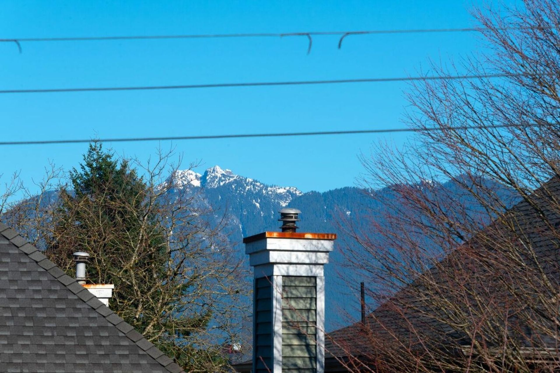 1965 W 12th Avenue, Kitsilano, Vancouver West - 1965-w-12th-avenue-kitsilano-vancouver-west-18