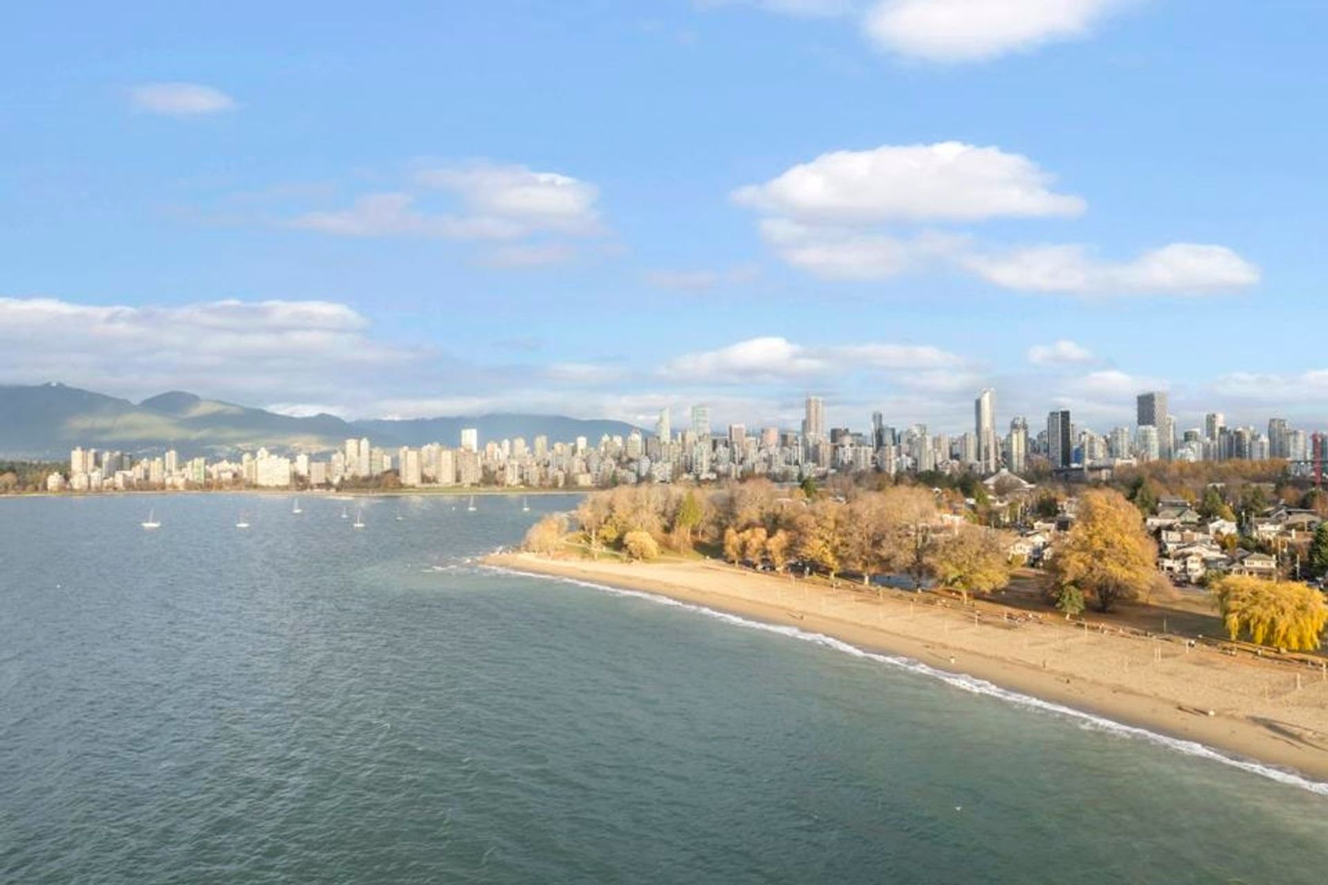 1220 Arbutus Street, Kitsilano, Vancouver West - 1220-arbutus-street-kitsilano-vancouver-west-11 1220 Arbutus Street, Kitsilano, Vancouver West - 1220-arbutus-street-kitsilano-vancouver-west-11