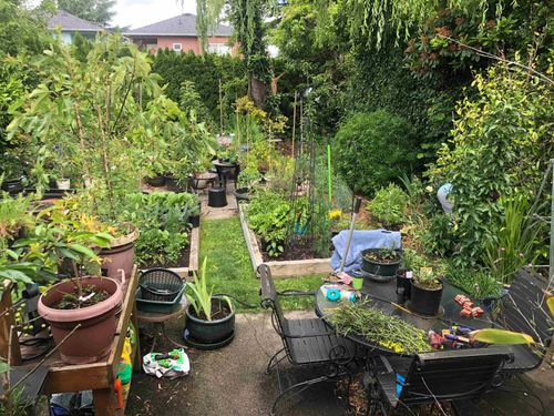 4533 Gothard Street, Collingwood VE, Vancouver East - 4533-gothard-street-collingwood-ve-vancouver-east-05