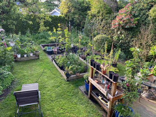 4533 Gothard Street, Collingwood VE, Vancouver East - 4533-gothard-street-collingwood-ve-vancouver-east-11