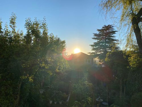 4533 Gothard Street, Collingwood VE, Vancouver East - 4533-gothard-street-collingwood-ve-vancouver-east-25