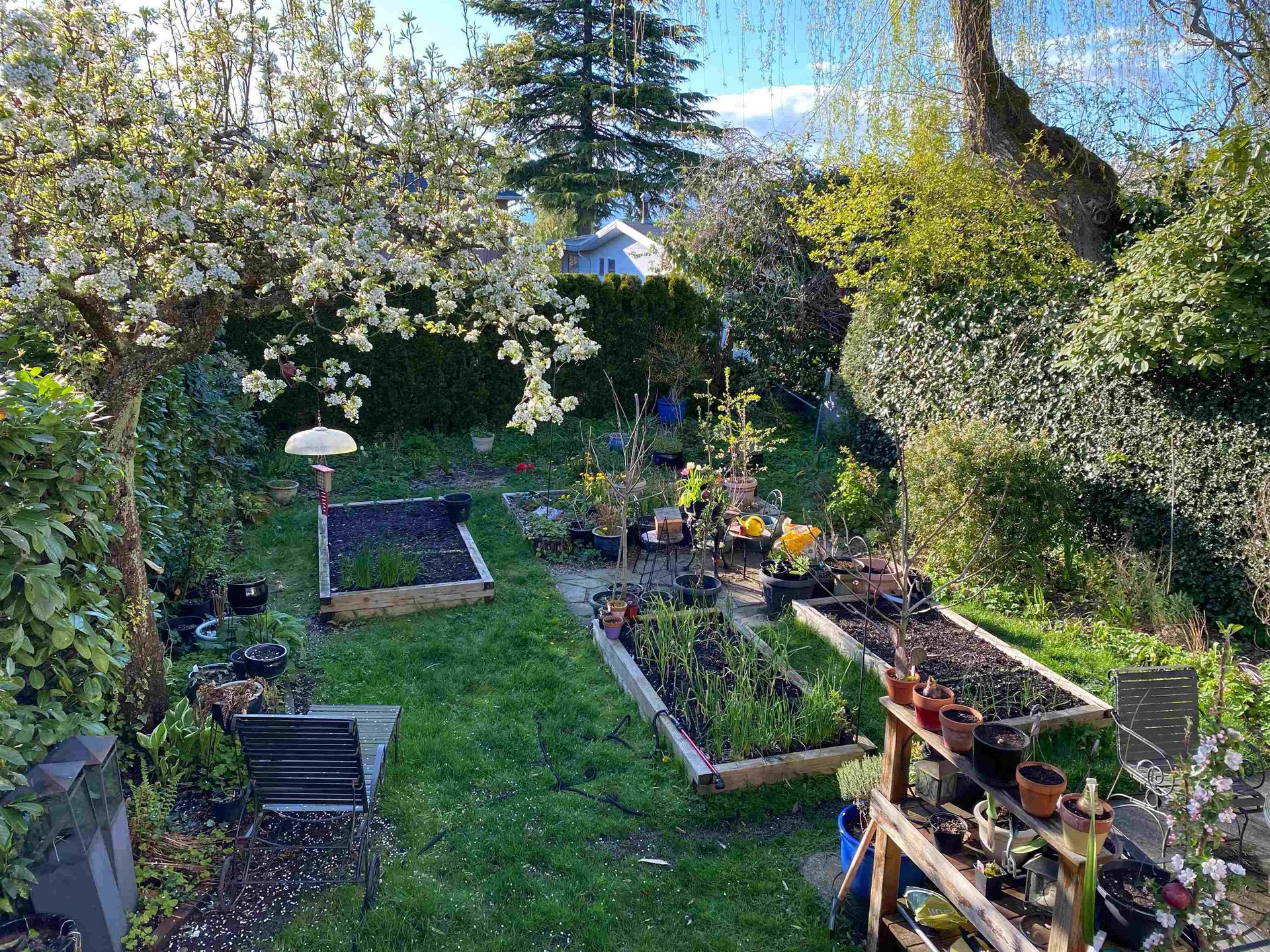 4533 Gothard Street, Collingwood VE, Vancouver East - 4533-gothard-street-collingwood-ve-vancouver-east-03