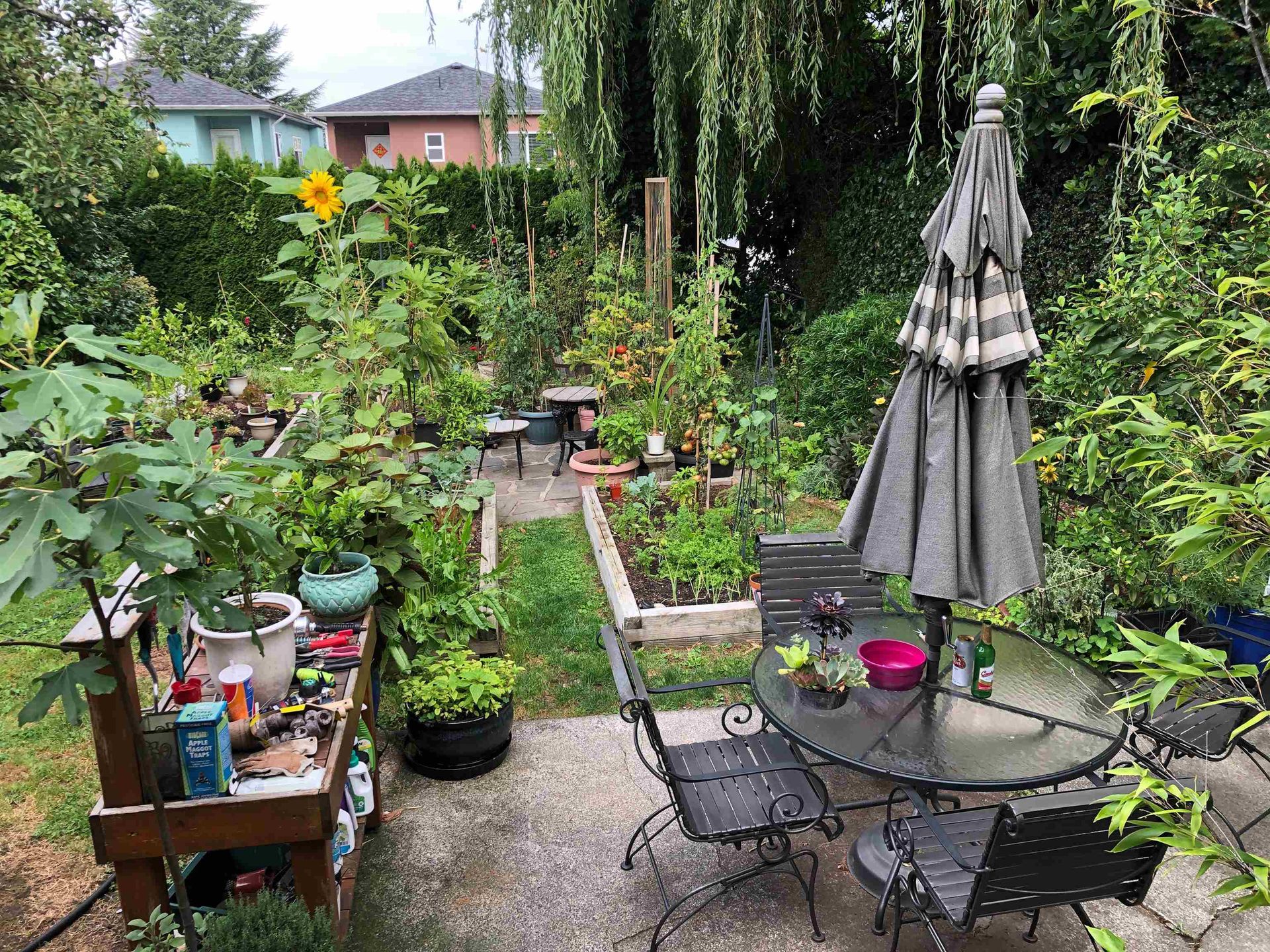 4533 Gothard Street, Collingwood VE, Vancouver East - 4533-gothard-street-collingwood-ve-vancouver-east-07