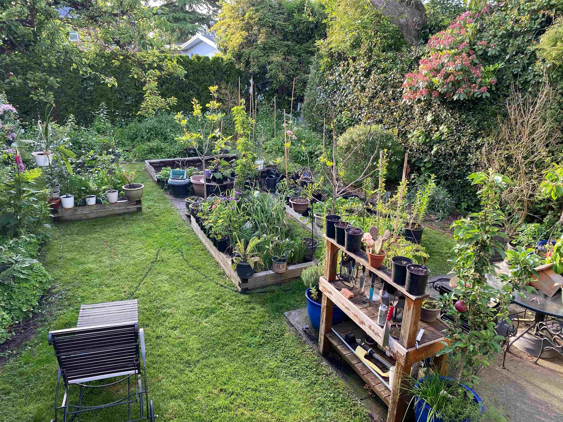 4533 Gothard Street, Collingwood VE, Vancouver East - 4533-gothard-street-collingwood-ve-vancouver-east-11