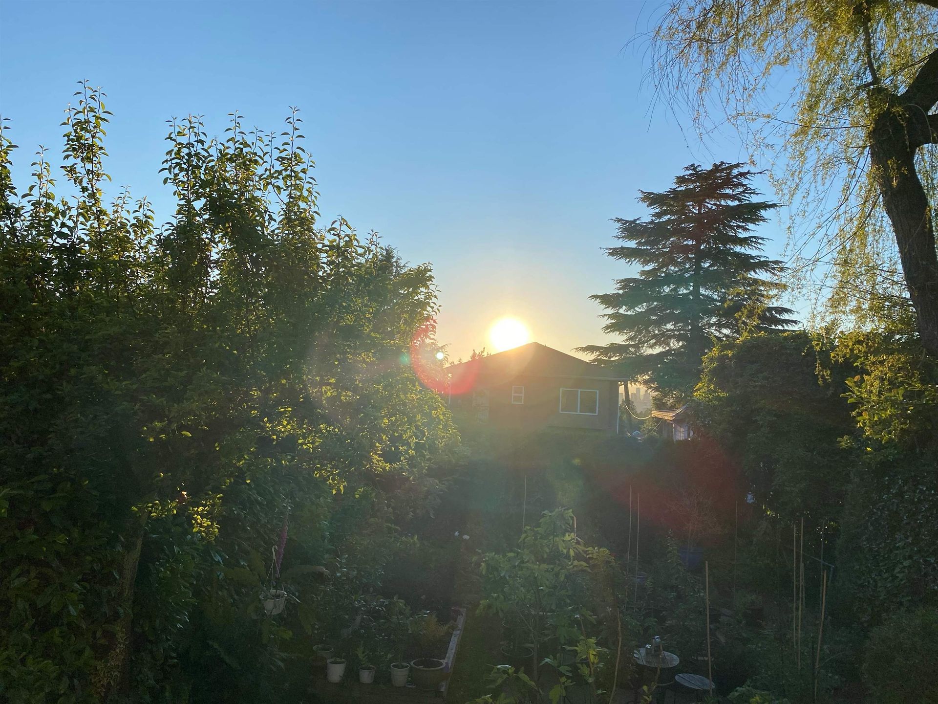 4533 Gothard Street, Collingwood VE, Vancouver East - 4533-gothard-street-collingwood-ve-vancouver-east-25