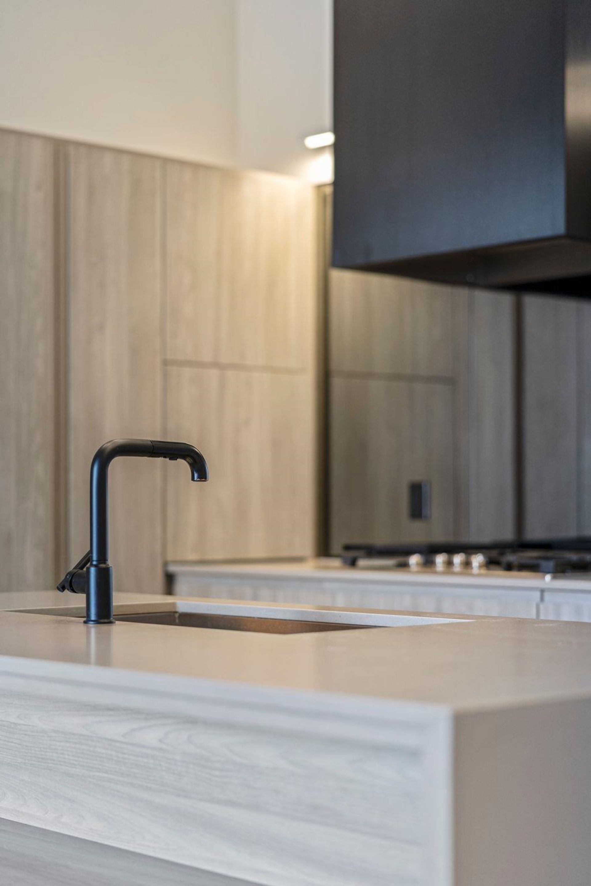 309 - 300 Salter Street, Queensborough, New Westminster - 300-salter-street-queensborough-new-westminster-14