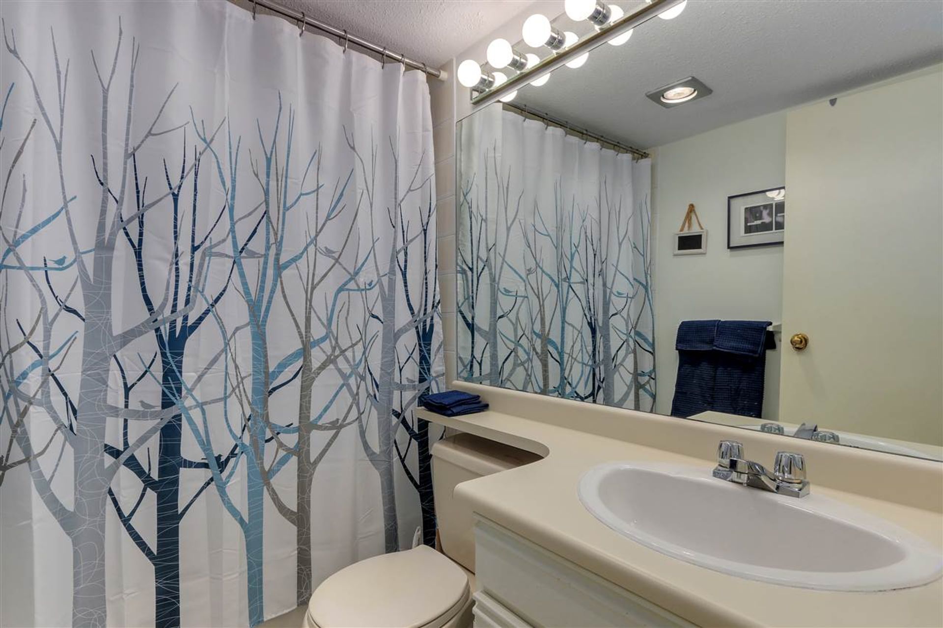 303 - 555 W 14th Avenue, Fairview VW, Vancouver West - 81da79b7a5afce113c63cf96a64980c179daef23