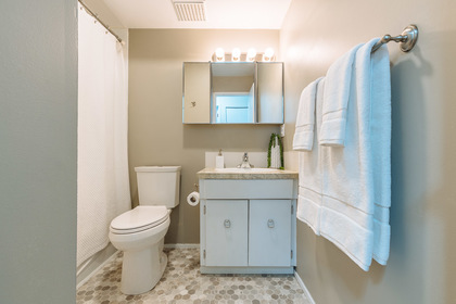 15 at 203 - 474 E 43rd Avenue, Fraser VE, Vancouver East