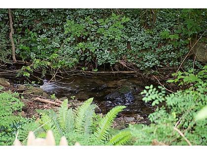 20 at 5775 Road, Eagle Harbour, West Vancouver