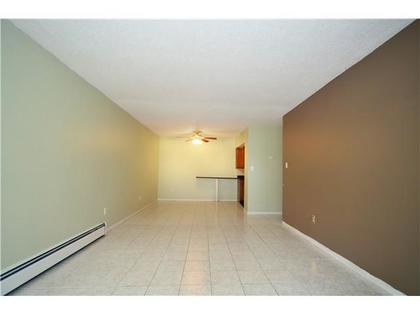 5 at 205 - 1420 8th Ave., Grandview VE, Vancouver East