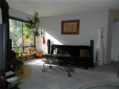 4 at 305 - 3506 W 4th Ave., Kitsilano, Vancouver West