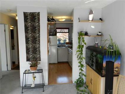 5 at 305 - 3506 Ave., Kitsilano, Vancouver West