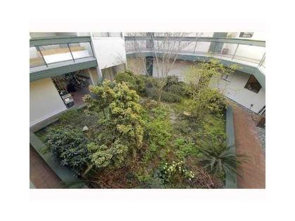 9 at 305 - 3506 Ave., Kitsilano, Vancouver West