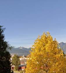 Mountain View at 603 - 756 Great Northern Way, Mount Pleasant VE, Vancouver East