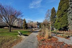 19 at 195 12th Avenue, Mount Pleasant VW, Vancouver West